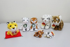 令和４年の干支寅のぬいぐるみが勢ぞろい！